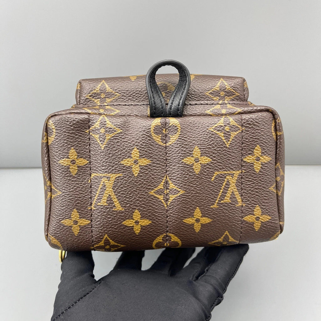 Louis Vuitton Palm Springs Monogram Brown Top Handle Backpack Excellent