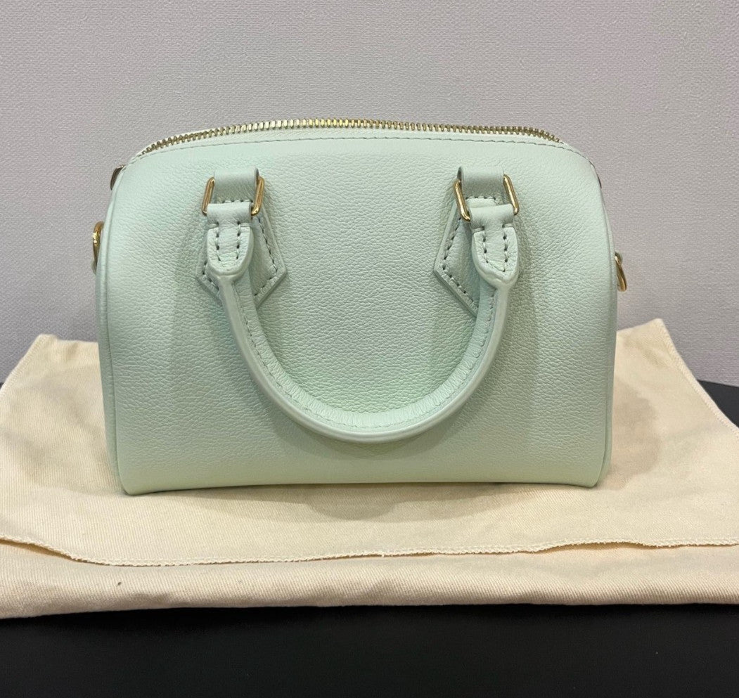 Louis Vuitton Speedy 18 All Leather Peppermint green 2WAY Shoulder Handbag