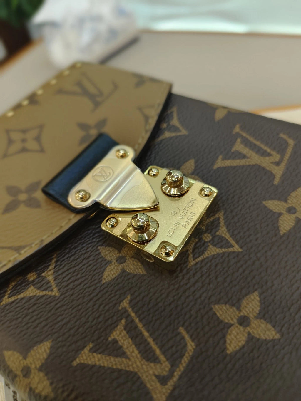 Louis Vuitton Monogram Canvas Camera Box Handbag For Women
