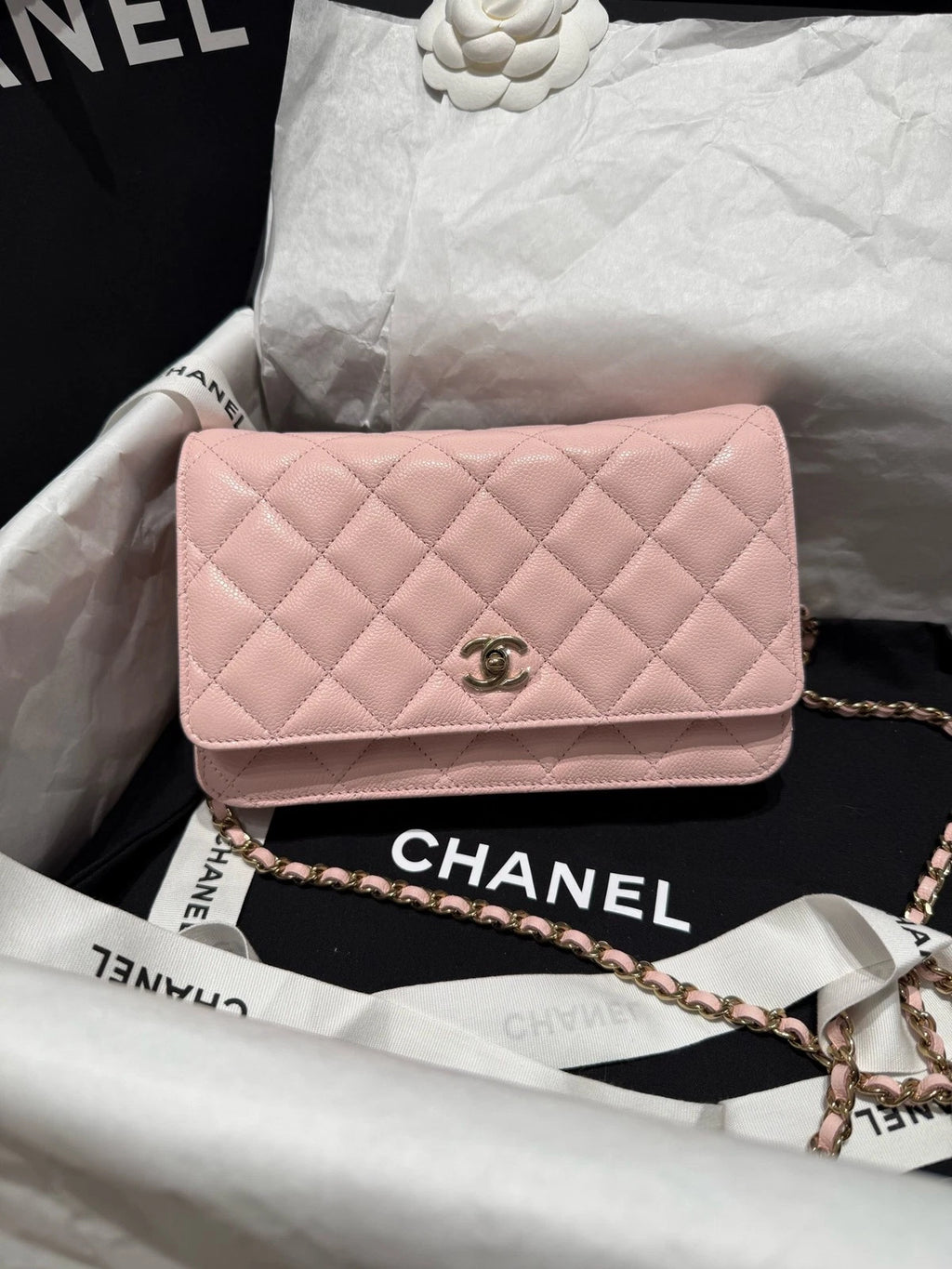 New CHANEL Sakura Pink WOC Crossbody Bag For Women