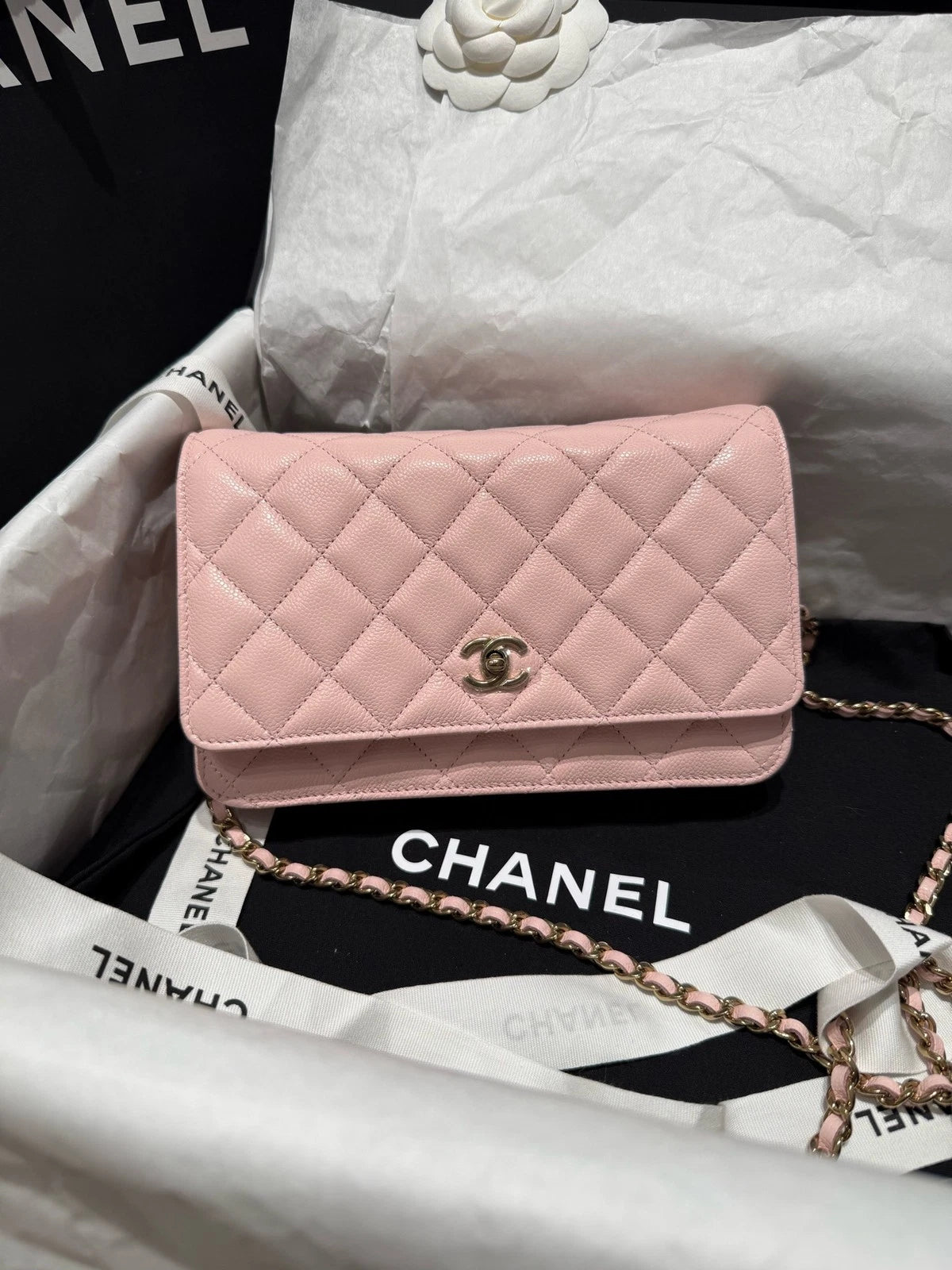 New CHANEL Sakura Pink WOC Crossbody Bag For Women