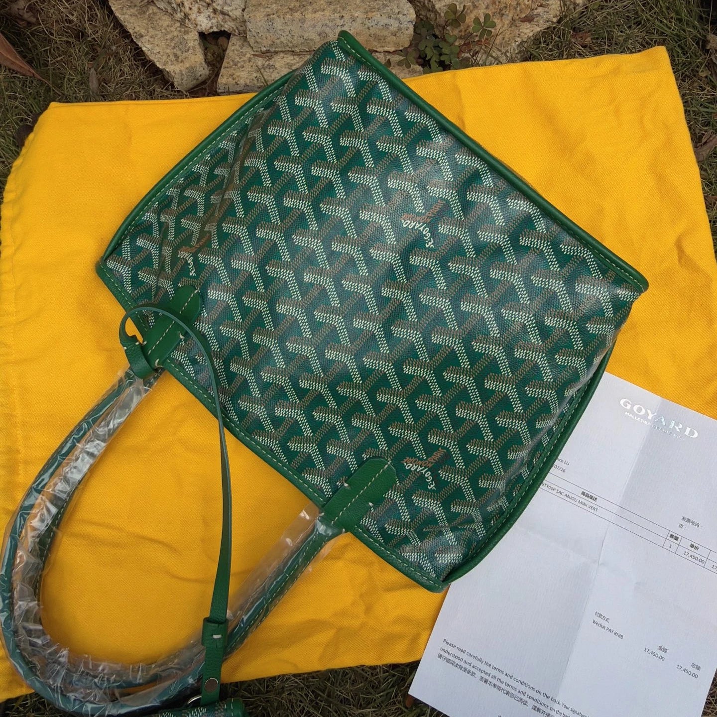 Goyard Tote Mini Top Handle Shoulder Bag Green Silver Used Women Classic