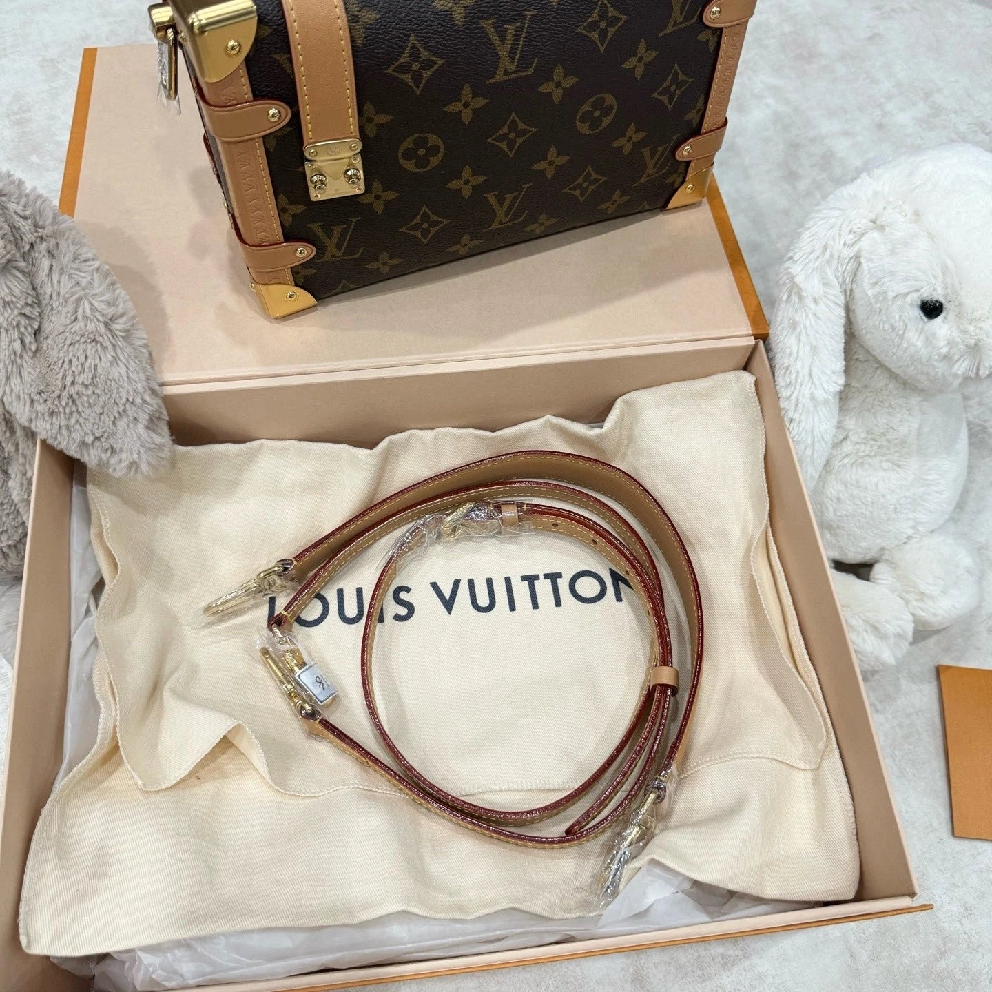 Louis Vuitton Calfskin Side Trunk MM Shoulder Bag For Women