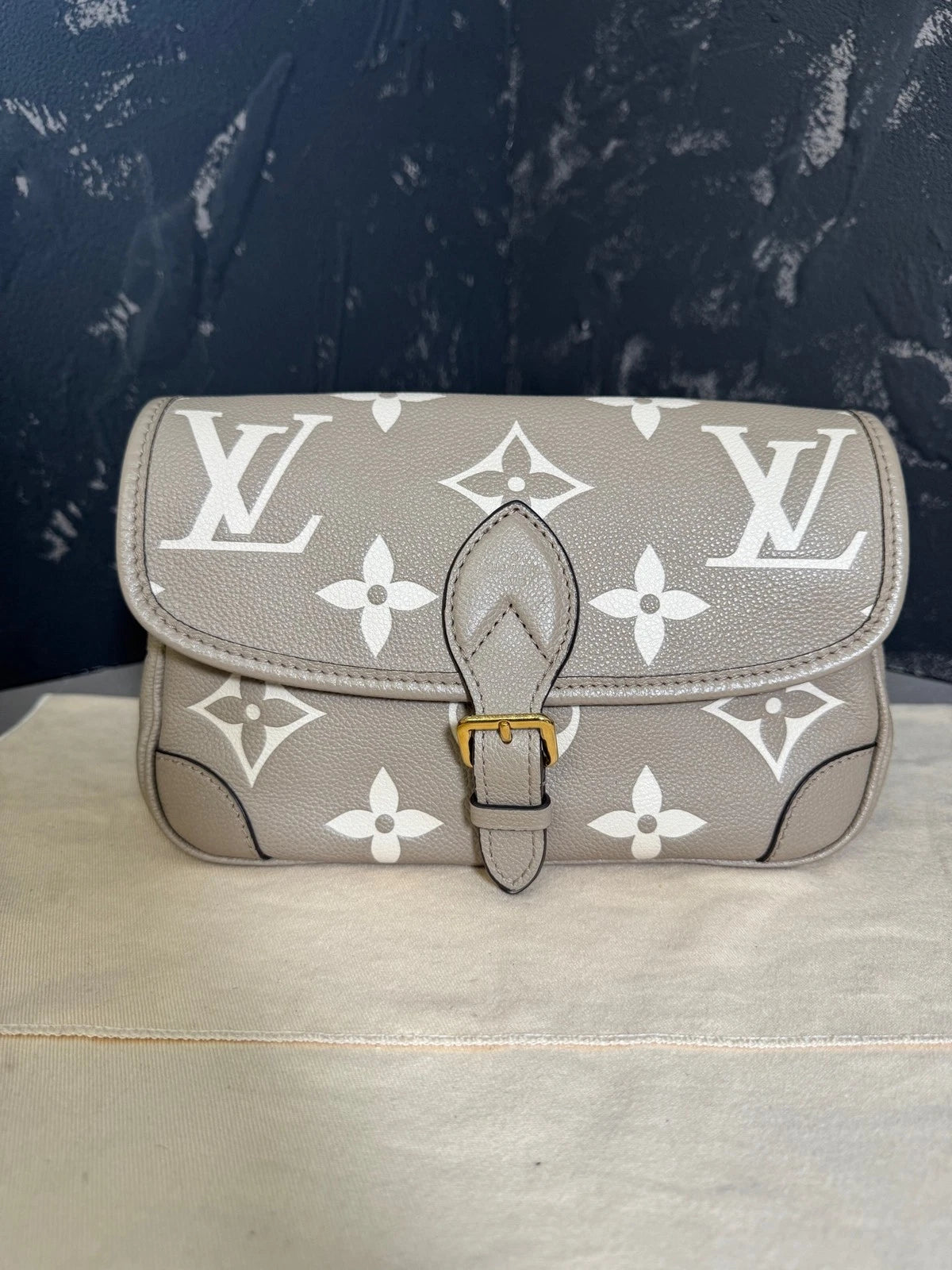 Louis Vuitton Diane Gray Leather Shoulder Bag For Women