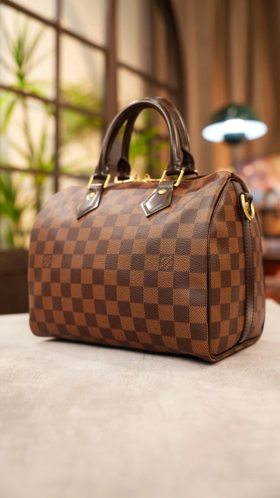 Louis Vuitton Speedy25 Damier Brown Shoulder Bag Top Handle Bag Excellent