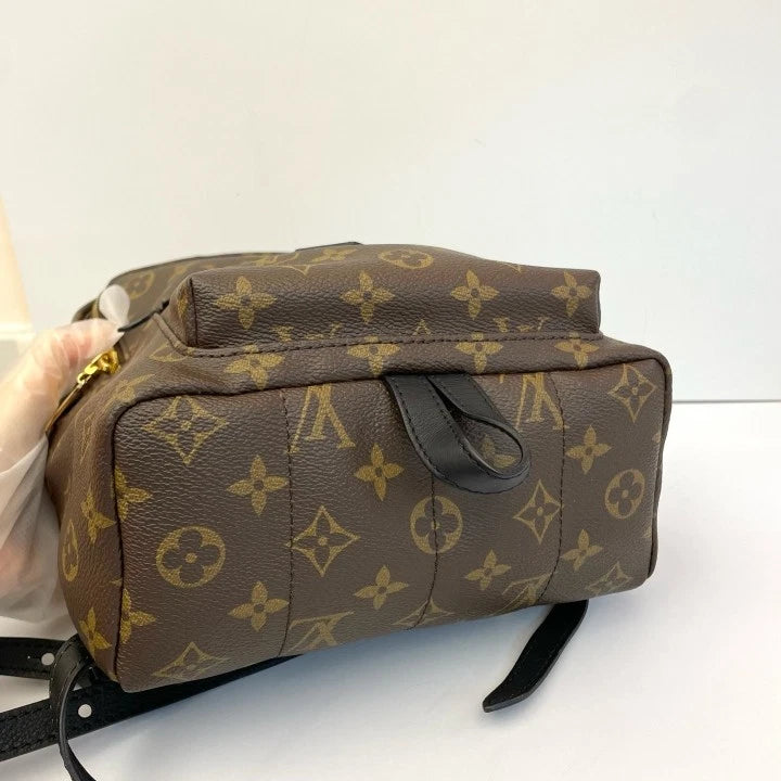 Louis Vuitton Canvas Monogram Palm Springs Small Backpack Women