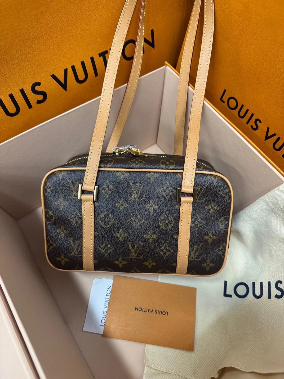 Louis Vuitton Women Canvas Open Smile Toast Tote Bag