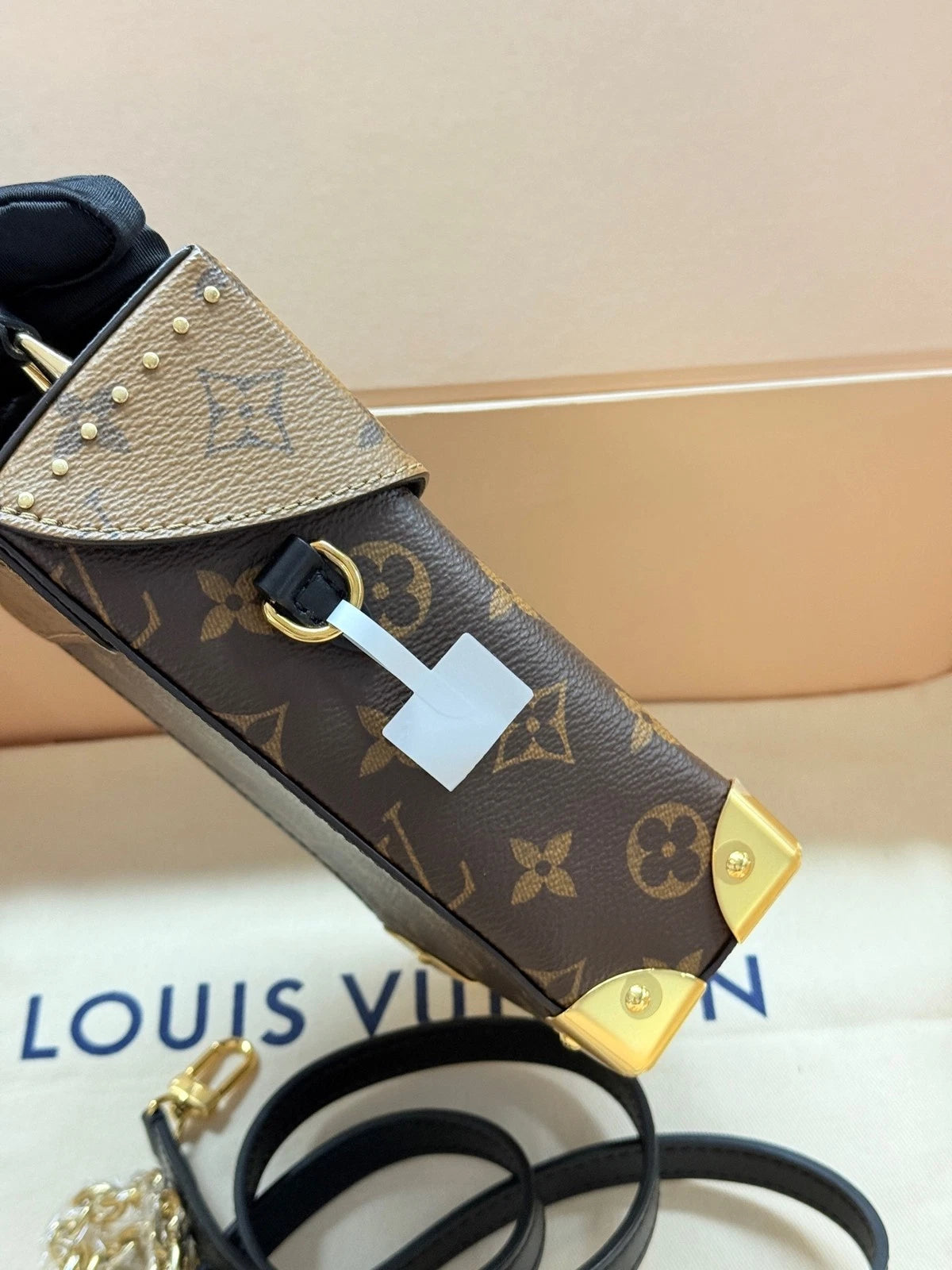 Louis Vuitton Leather Camera Box Crossbody Bag For Women