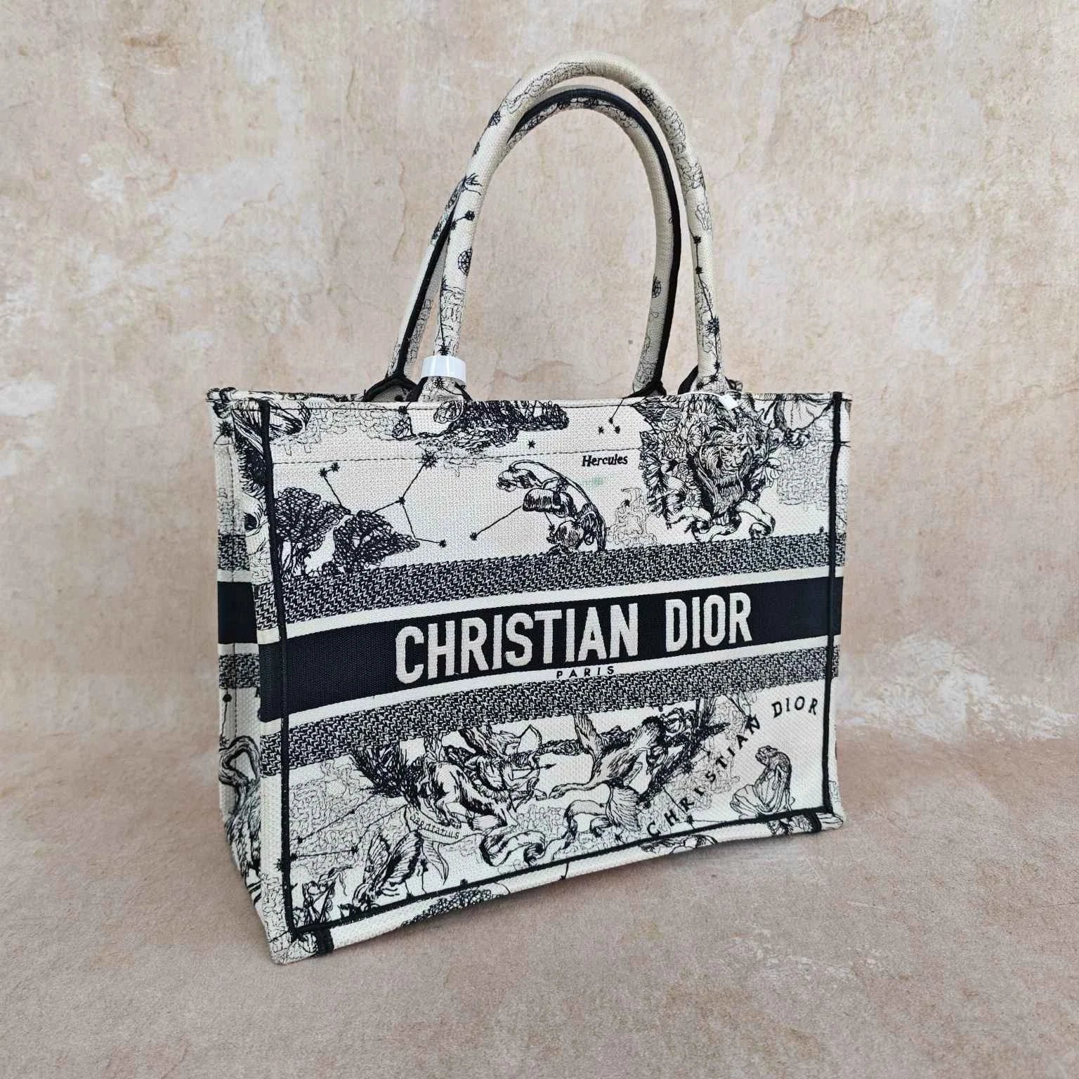 Dior Embroidered Constellation Medium Canvas Tote Handbag For Women