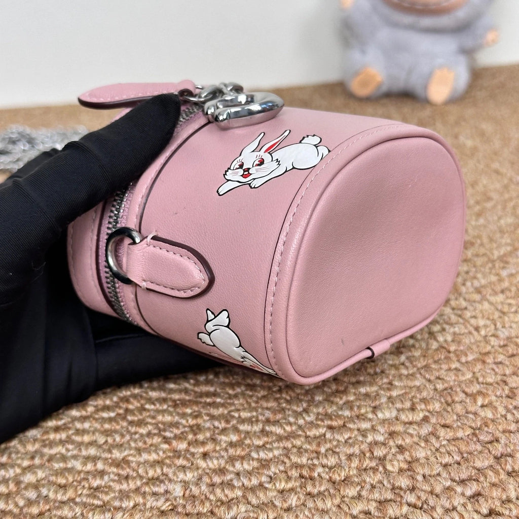 Coach Pink White Rabbit Swinger Mini Box Bag For Women