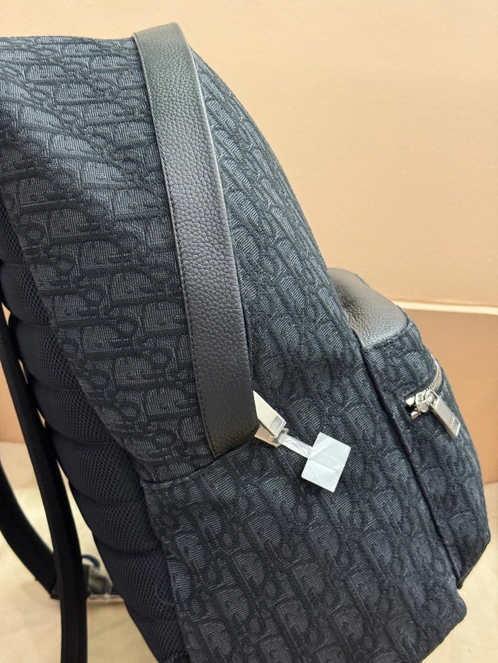 Dior Canvas Oblique Backpack For Women