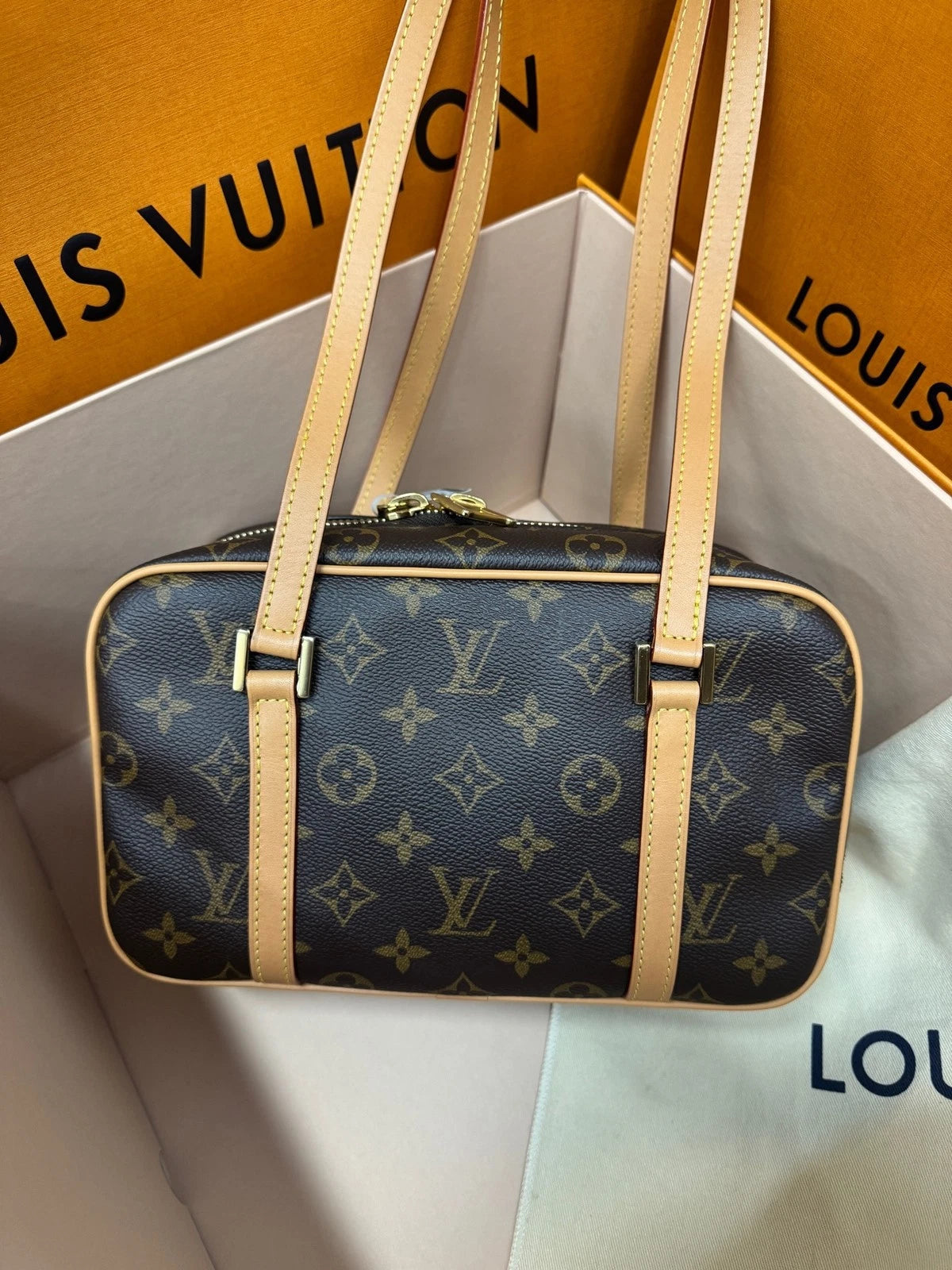 Louis Vuitton Women Canvas Open Smile Toast Tote Bag