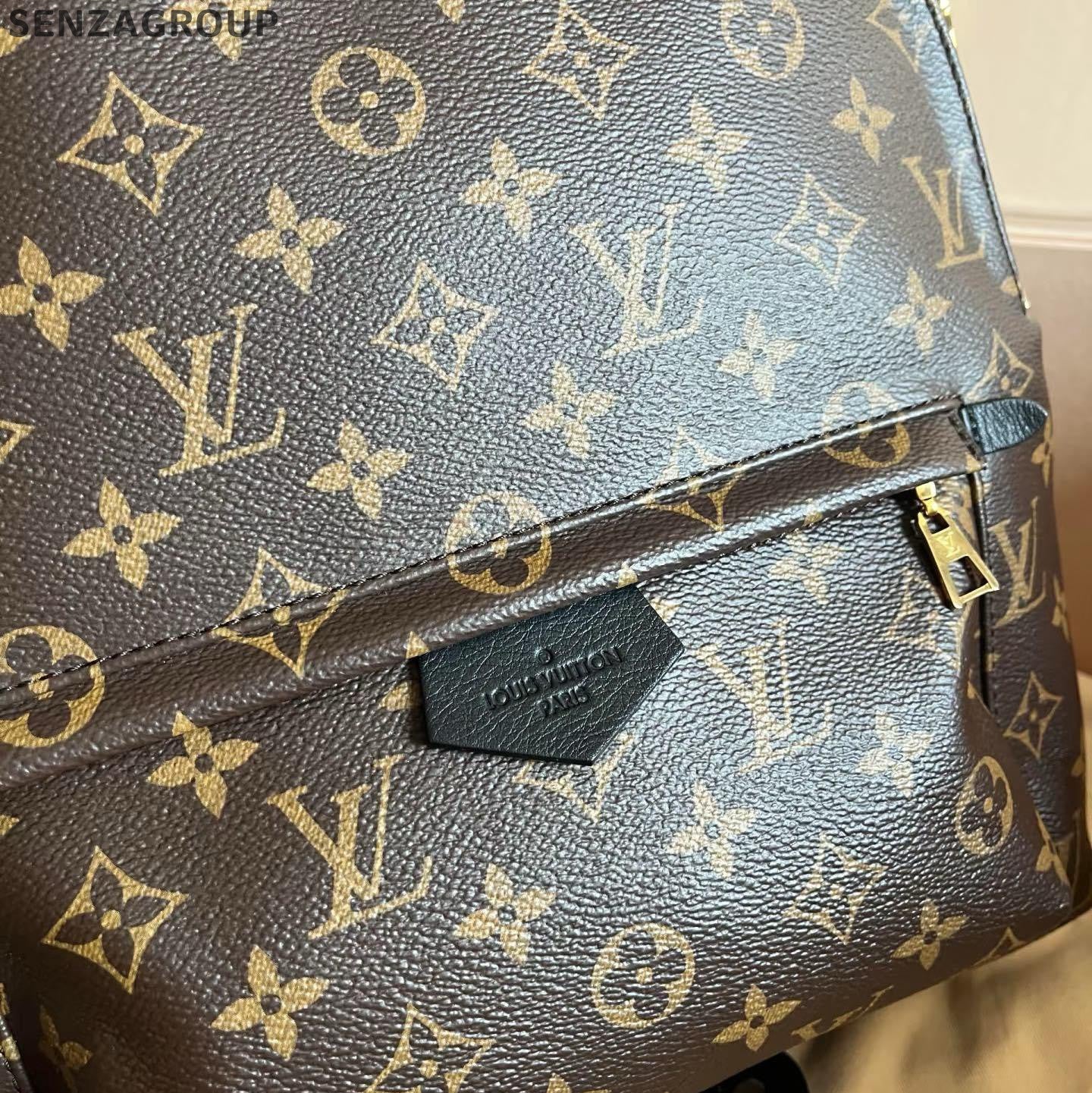 Louis Vuitton Palm Springs Backpack MM Monogram Brown Black Unisex