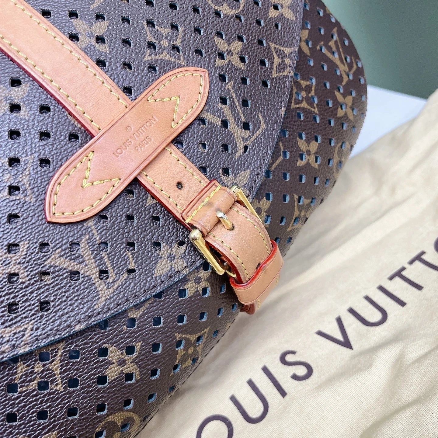 Louis Vuitton Saumur Flore Perforated Monogram Crossbody Bag Shoulder Bag Women