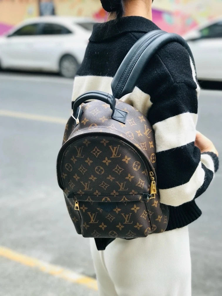 Louis Vuitton Canvas Monogram Palm Springs Small Backpack Women