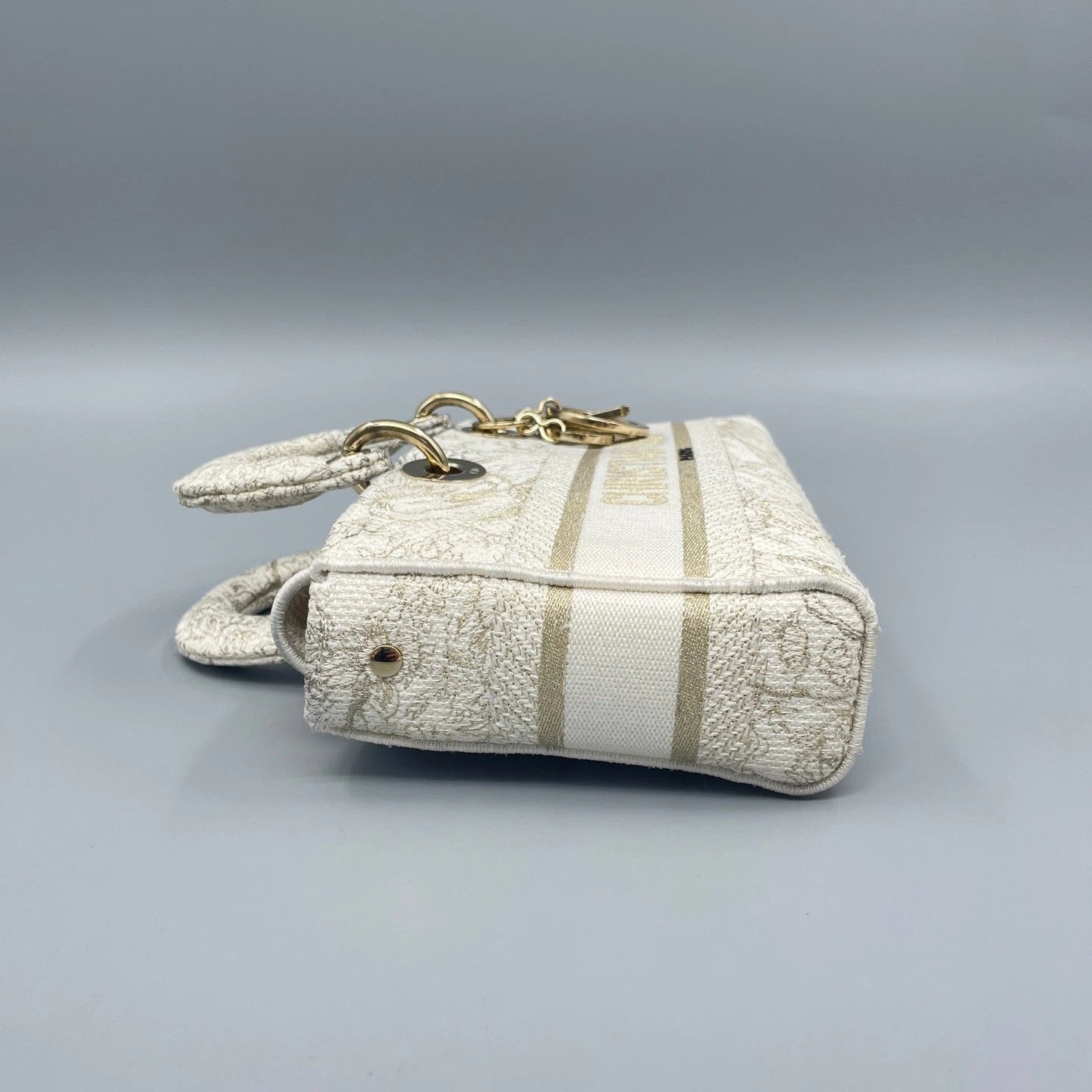 Authentic Dior Limited Zoo Lady Dior Handbag Crossbody Bag For Women