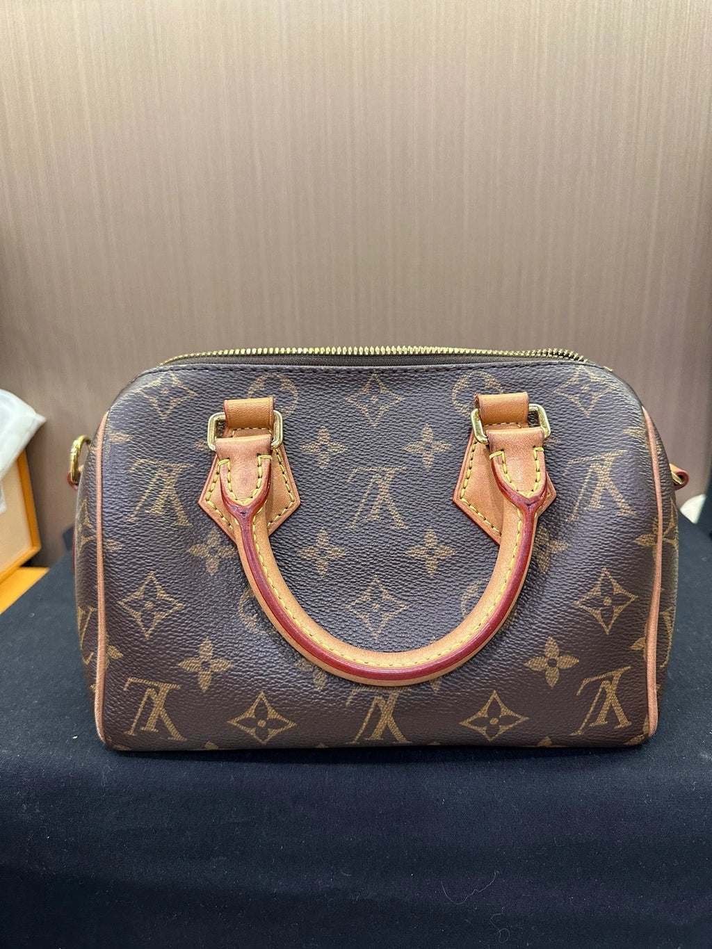 Louis Vuitton Speedy 20 Canvas Crossbody Bag For Women