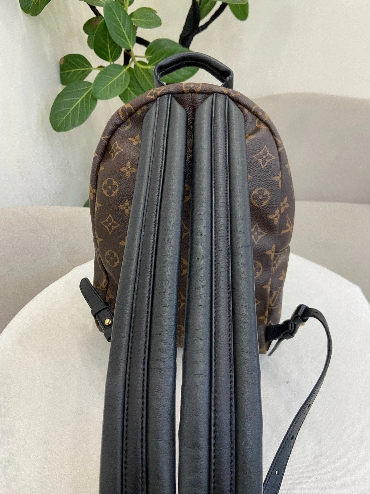 Louis Vuitton Palm Springs PM Monogram Backpack Brown Gold Unisex Adults Classic