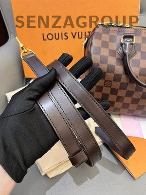 Louis Vuitton Damier Ebene Speedy 25 Handbag Shoulder Bag Gold Hardware