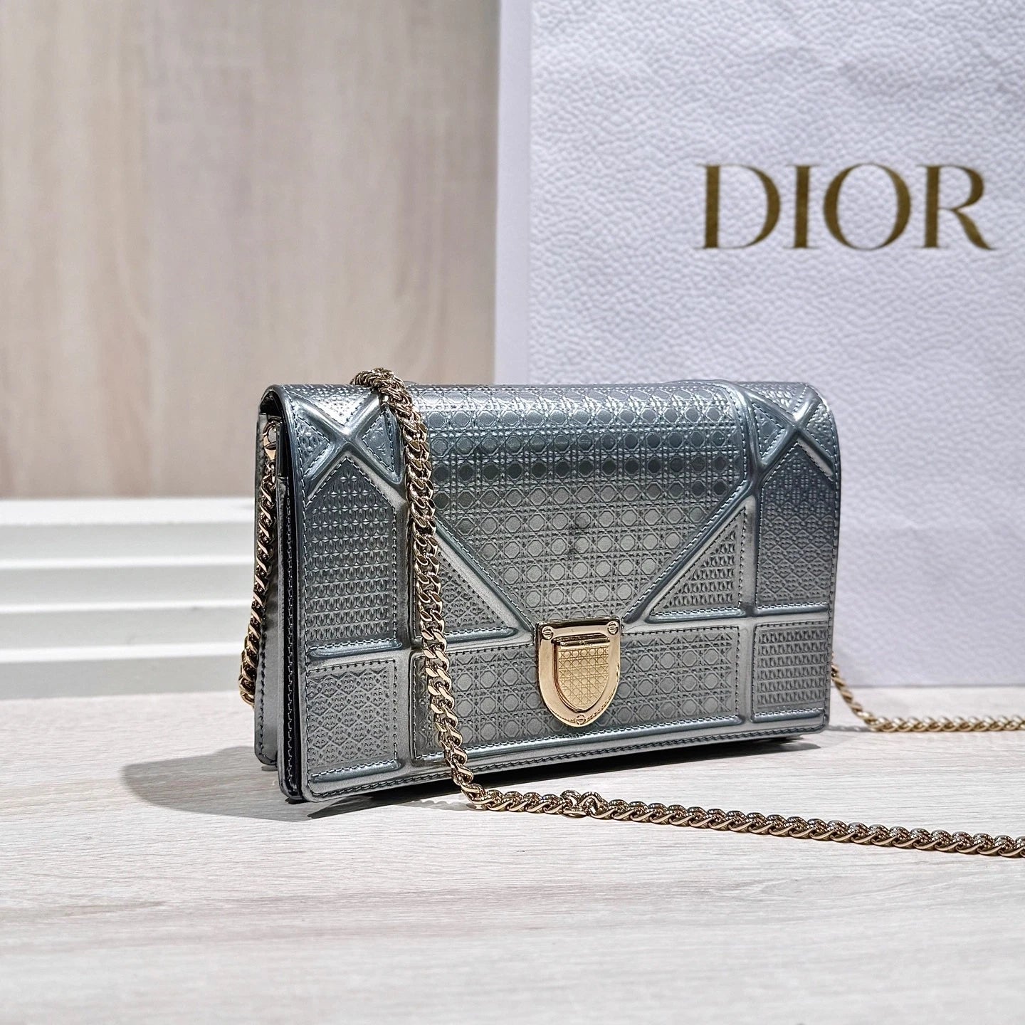 Dior Silver Shield WOC Leather Chain Crossbody Bag For Women