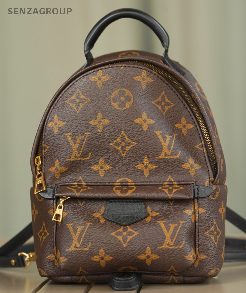 Louis Vuitton Palm Springs Backpack Mini  Canvas M44873