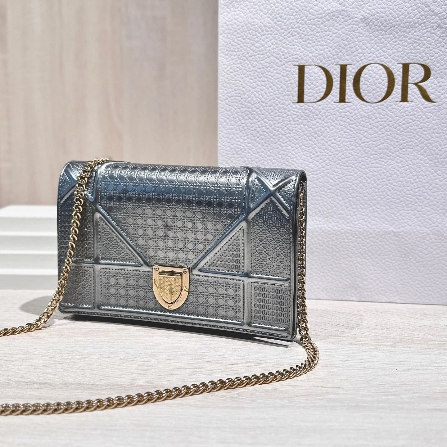 Dior Silver Shield WOC Leather Chain Crossbody Bag For Women