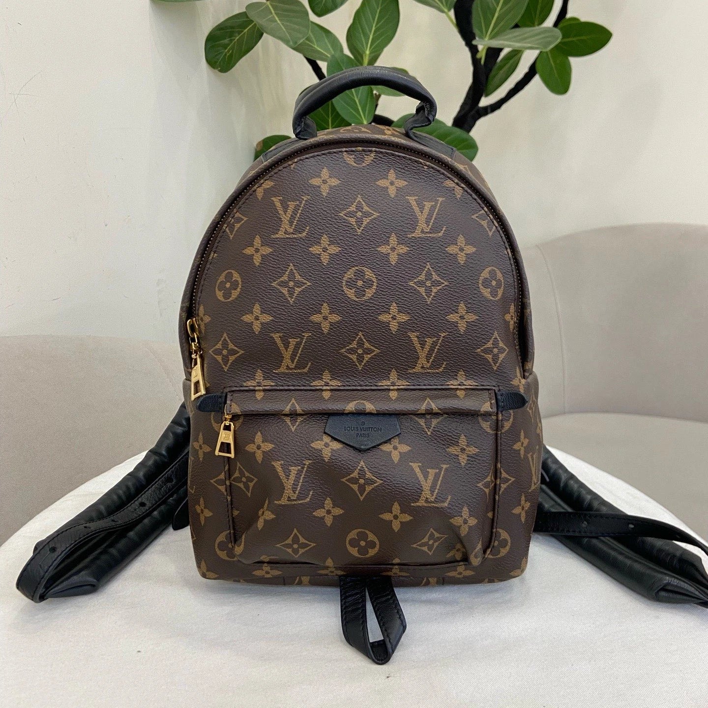 Louis Vuitton Palm Springs PM Monogram Backpack Brown Gold Unisex Adults Classic