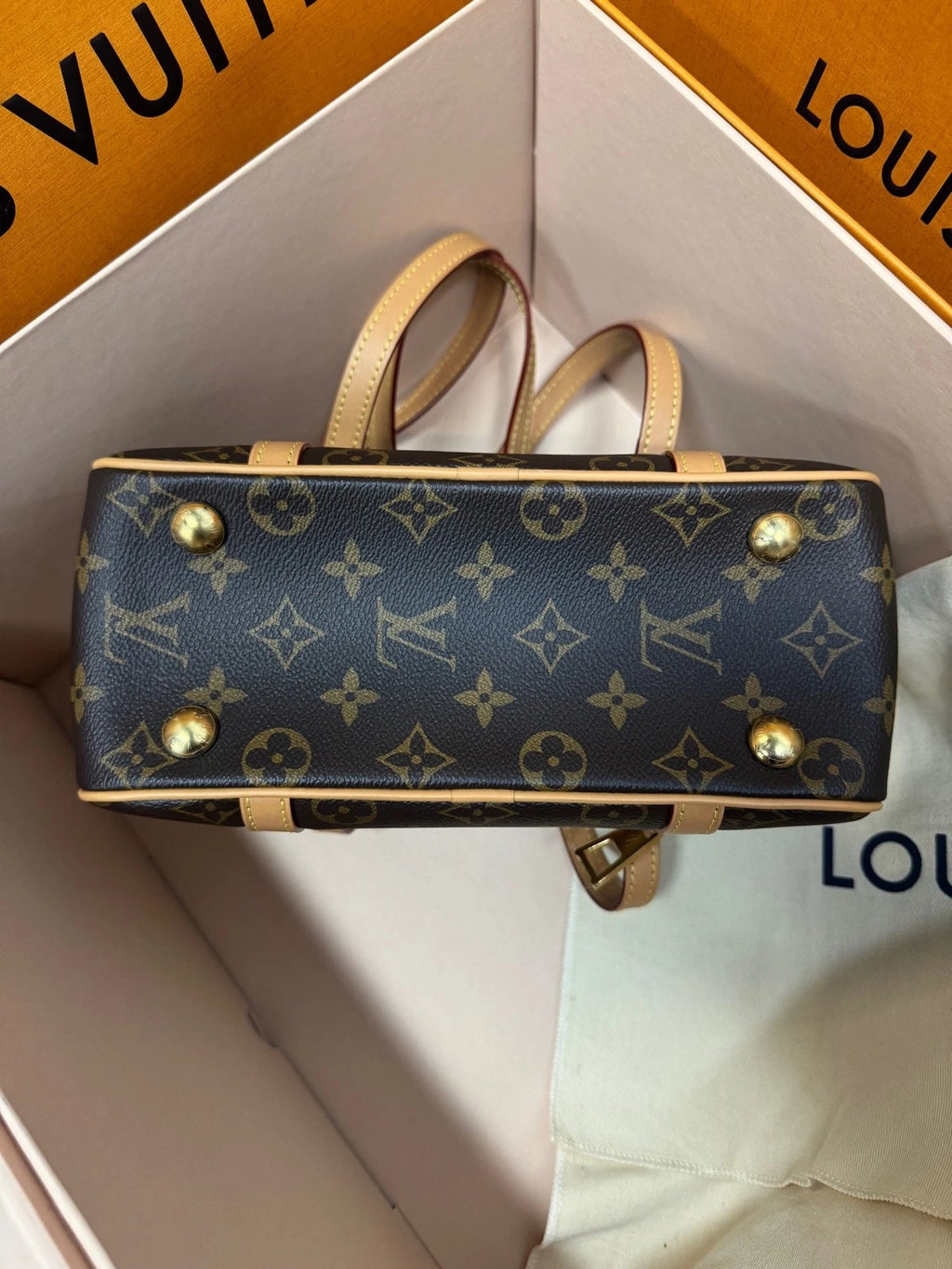 Louis Vuitton Women Canvas Open Smile Toast Tote Bag