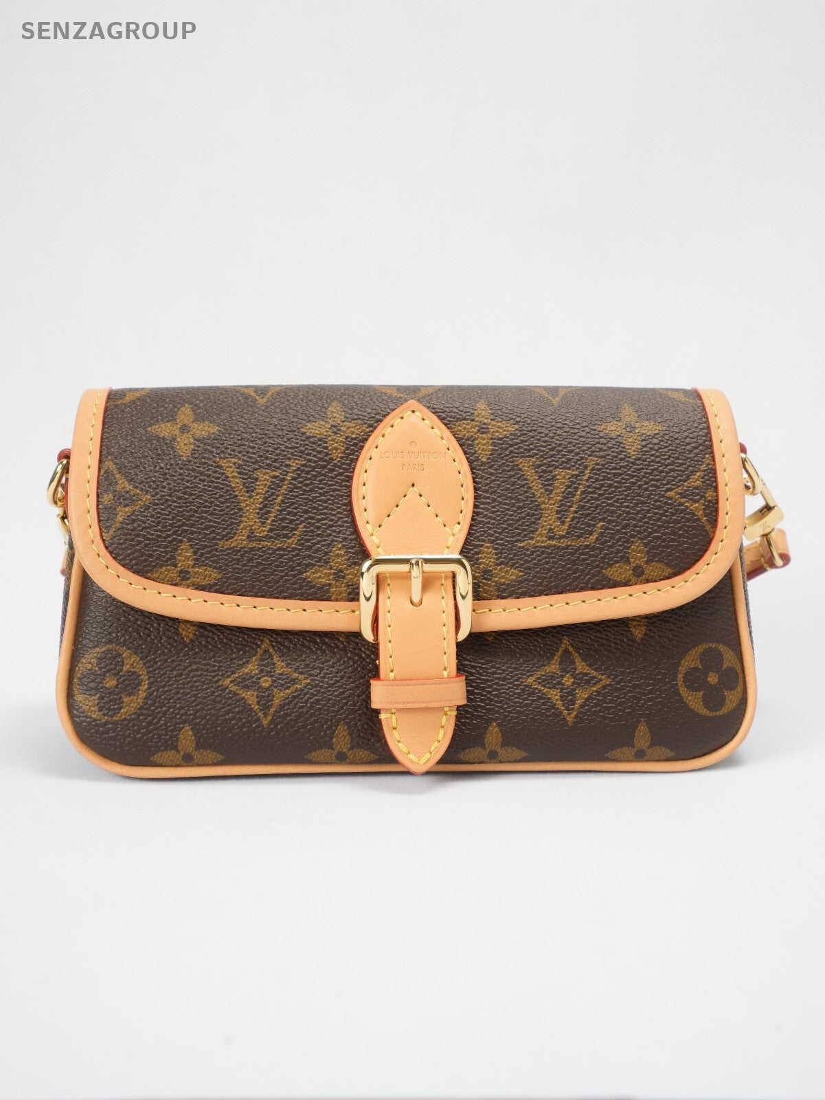 Louis Vuitton Monogram NANO Diane M83298