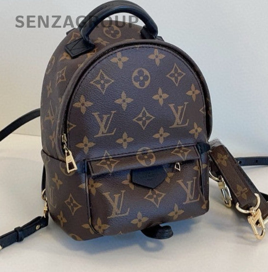 Louis Vuitton Palm Springs Monogram Mini Backpack Shoulder Bag Brown Women