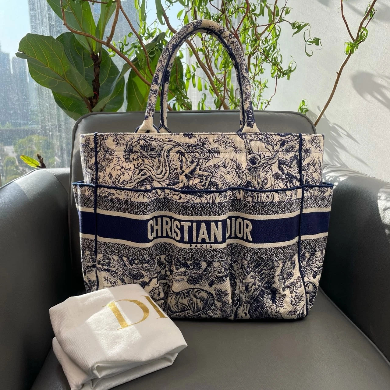 Dior Large Book Tote Printed Canvas Tote Bag For Women