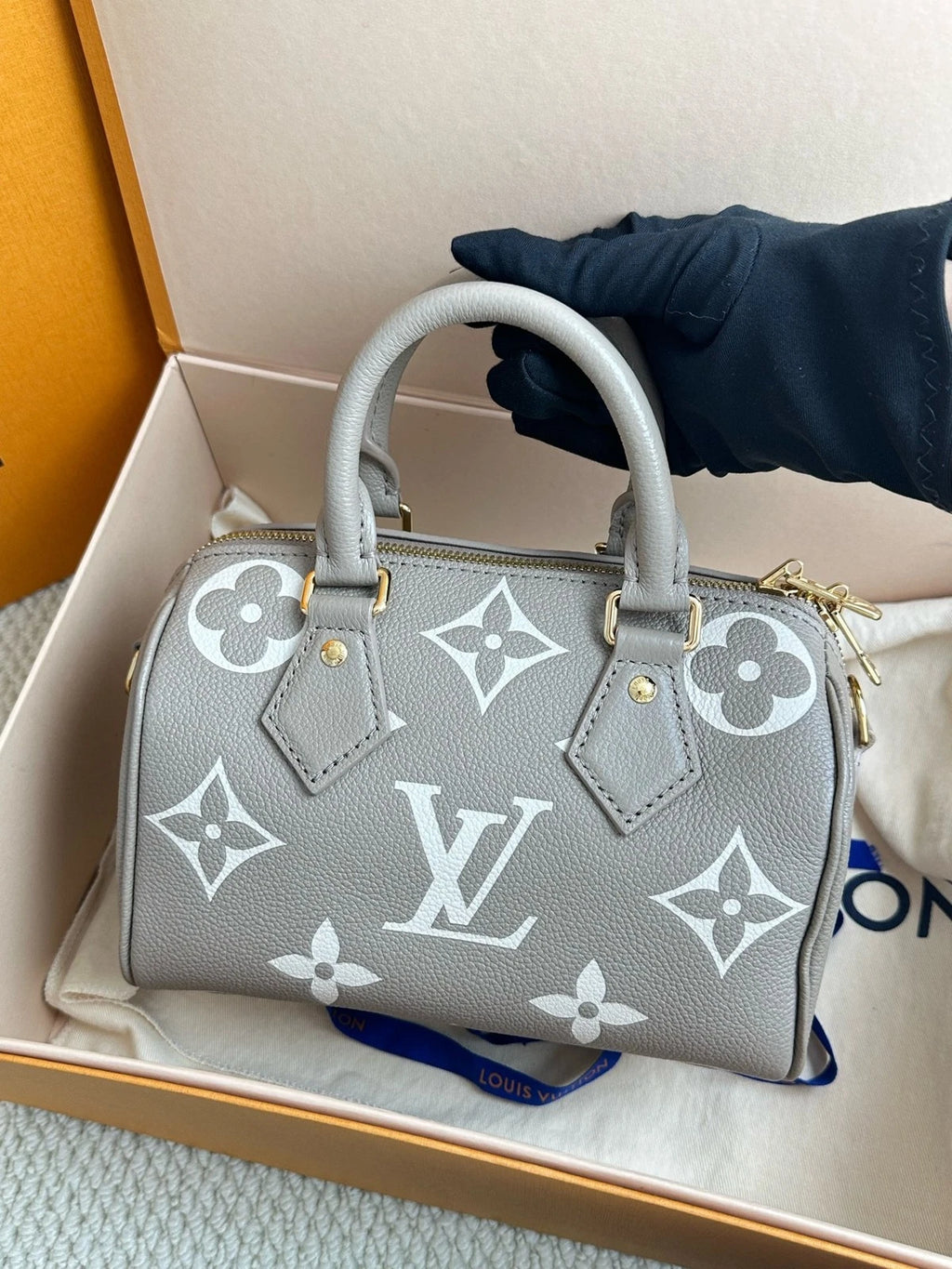 Louis Vuitton Speedy20 Gray Top Handle Excellent