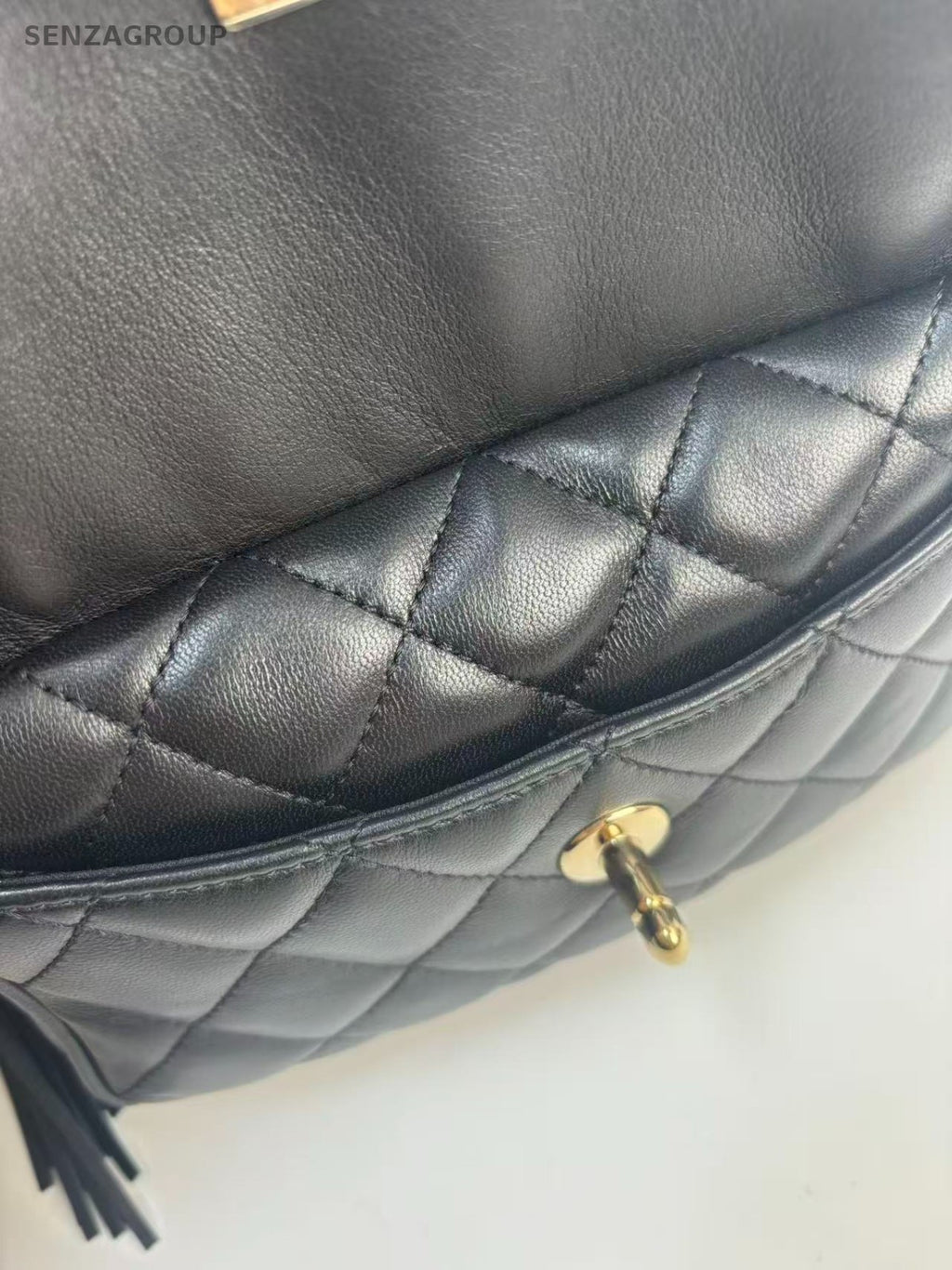 SJ0001 chanel camera bag