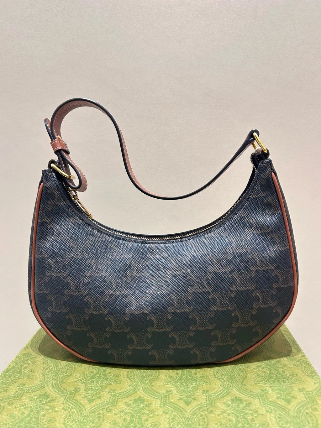 Celine AVA Triomphe Canvas Underarm Pea Shoulder Bag For Women