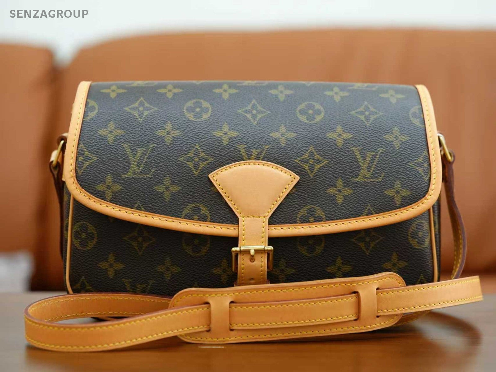 Louis Vuitton Sologne Monogram Shoulder Crossbody Bag Brown Vintage M42250
