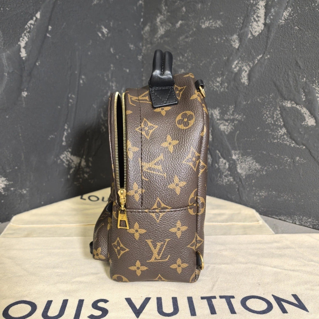 Louis Vuitton Canvas Mini Backpack for Women