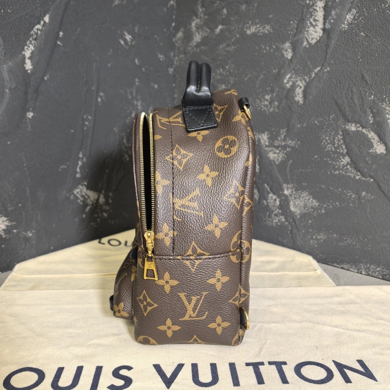 Louis Vuitton Canvas Mini Backpack for Women