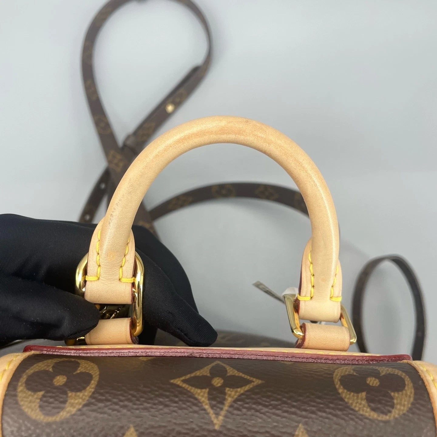 Louis Vuitton Canvas Frog Shoulder Bag For Women