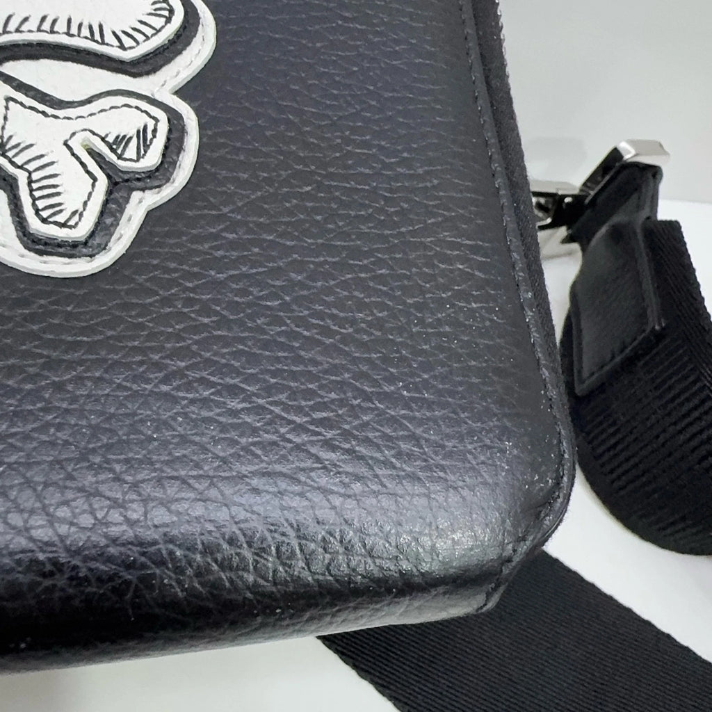 Dior x Shawn Bee Embroidered Leather Crossbody Shoulder Bag For Women Black
