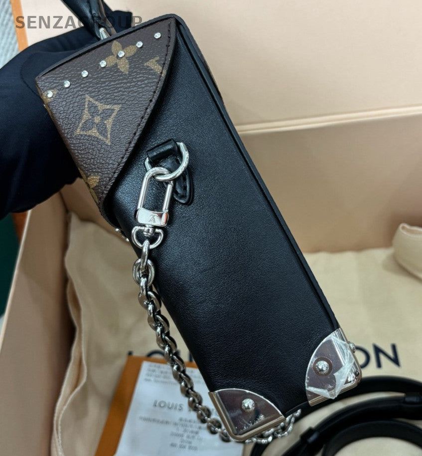 Louis Vuitton Monogram Camera Box Chain Shoulder Bag Black Brown Silver Women
