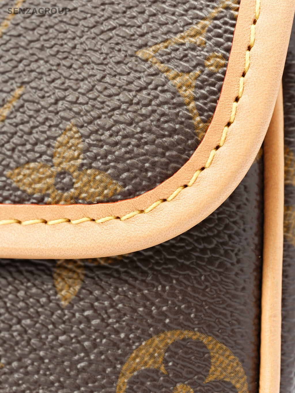 Louis Vuitton Monogram NANO Diane M83298 with Chip version