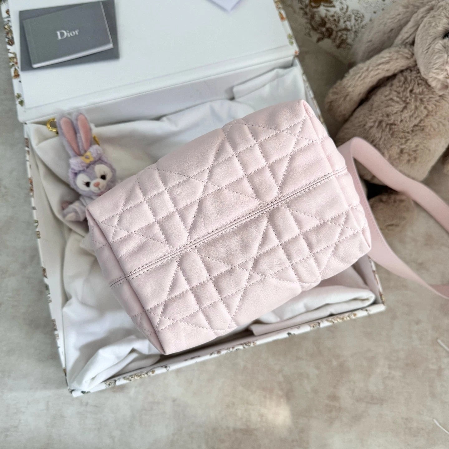 New Dior Toujours Vertical Small Sakura Pink Bag For Women