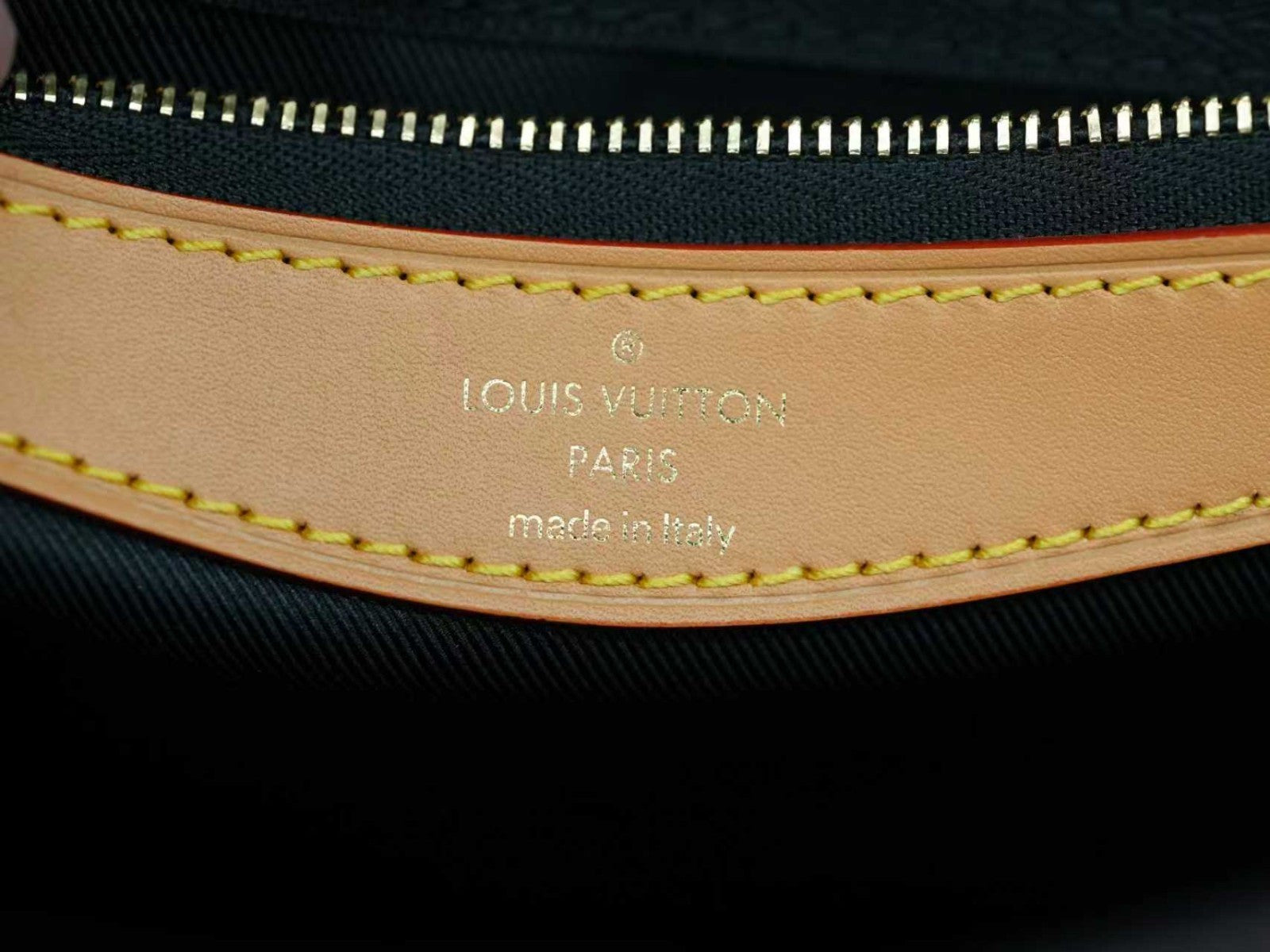 Louis Vuitton Diane Monogram 2Way Shoulder Bag Crossbody Brown Used Women