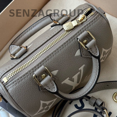 Louis Vuitton Speedy Nano Monogram Grey Gold Handbag Women Classic