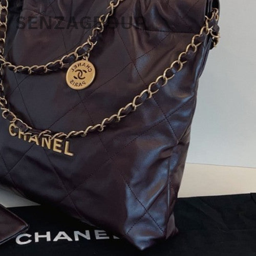 Chanel 22 PM Chain Shoulder Bag Crossbody Brown Gold Women Classic Vintage