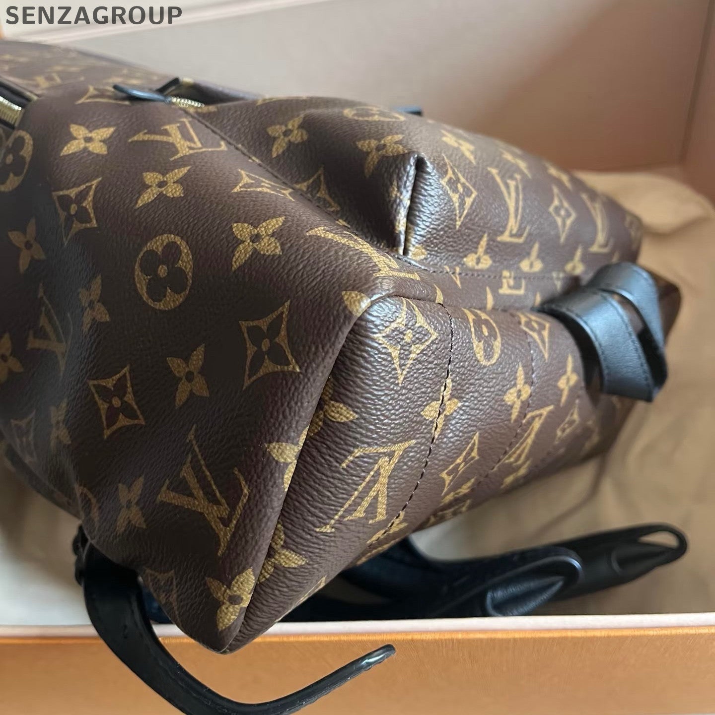 Louis Vuitton Palm Springs Backpack MM Monogram Brown Black Unisex
