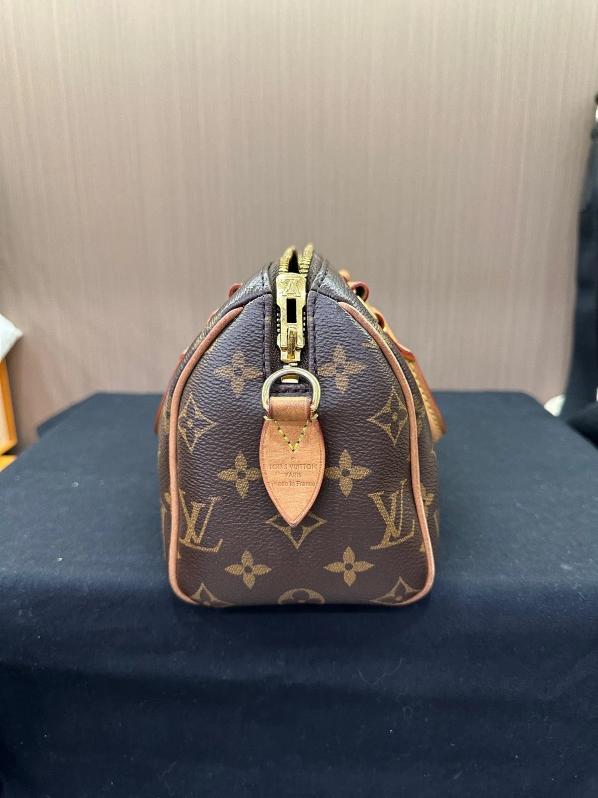 Louis Vuitton Speedy 20 Canvas Crossbody Bag For Women