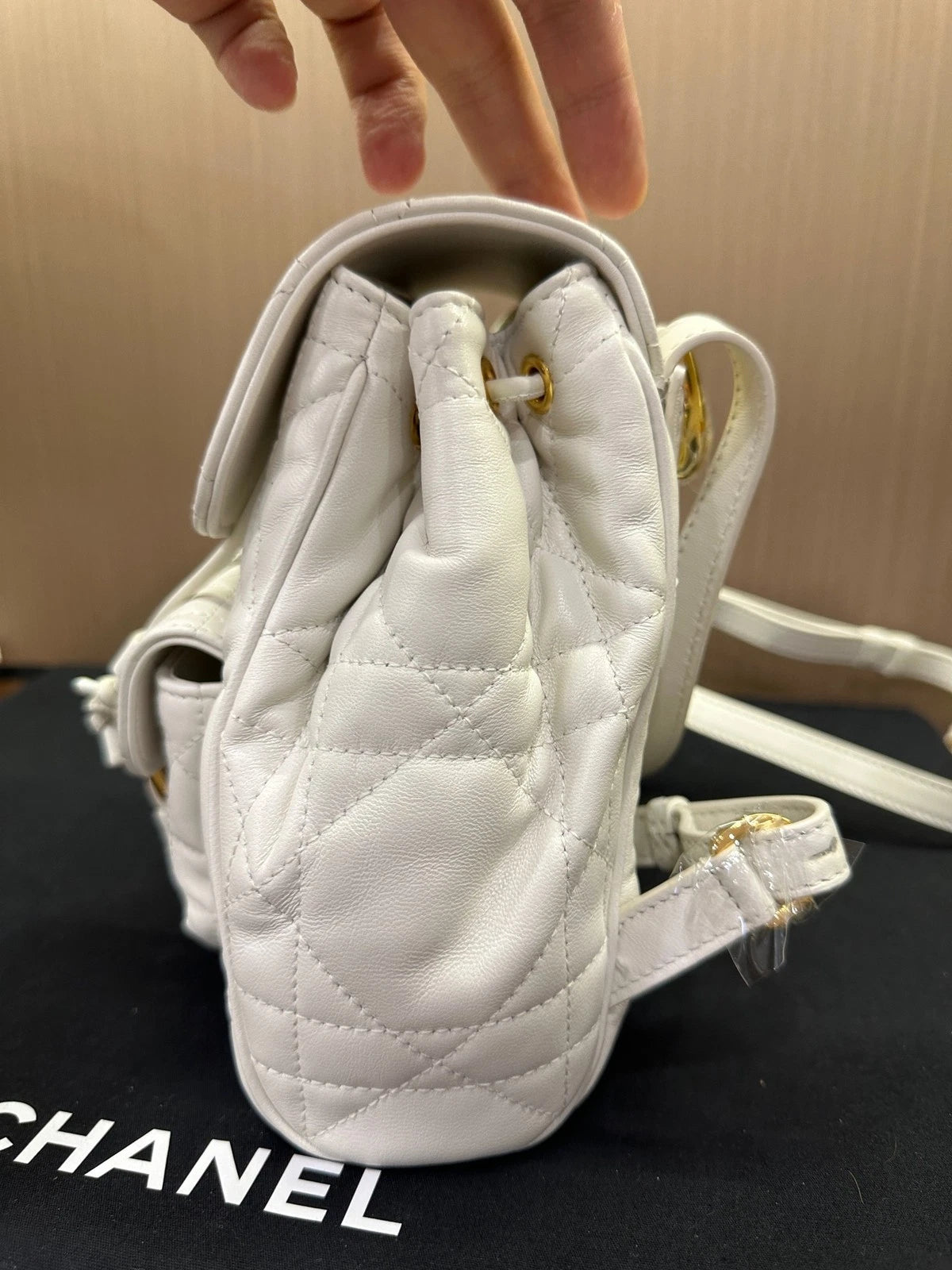 Dior Caro Small Calfskin Backpack For Women, Brand New Unused