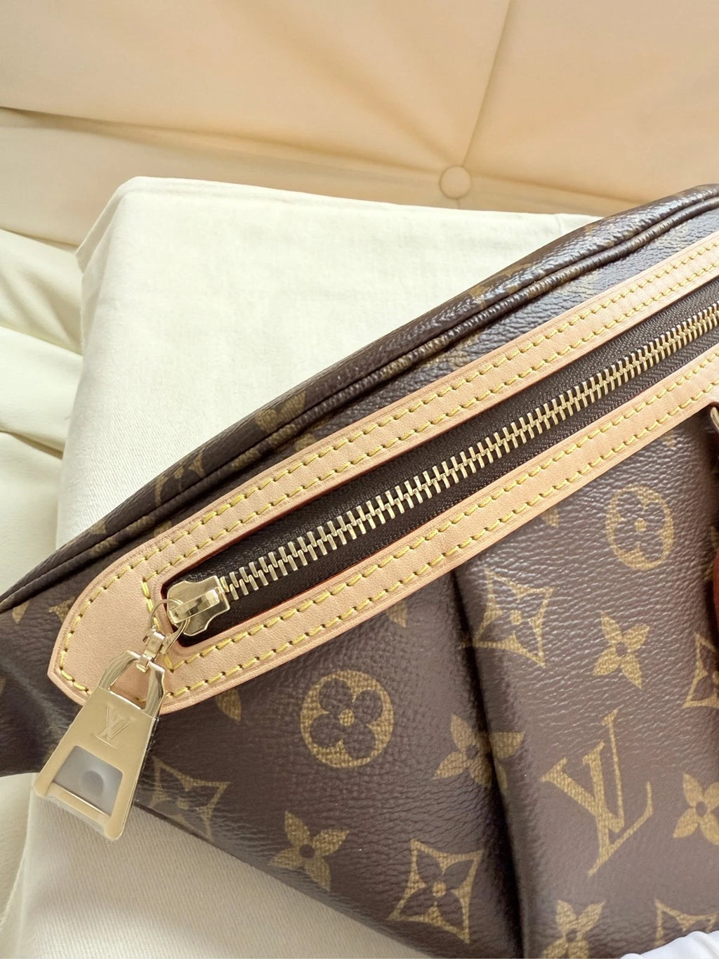 Louis Vuitton Monogram Chest Waist Bag For Women
