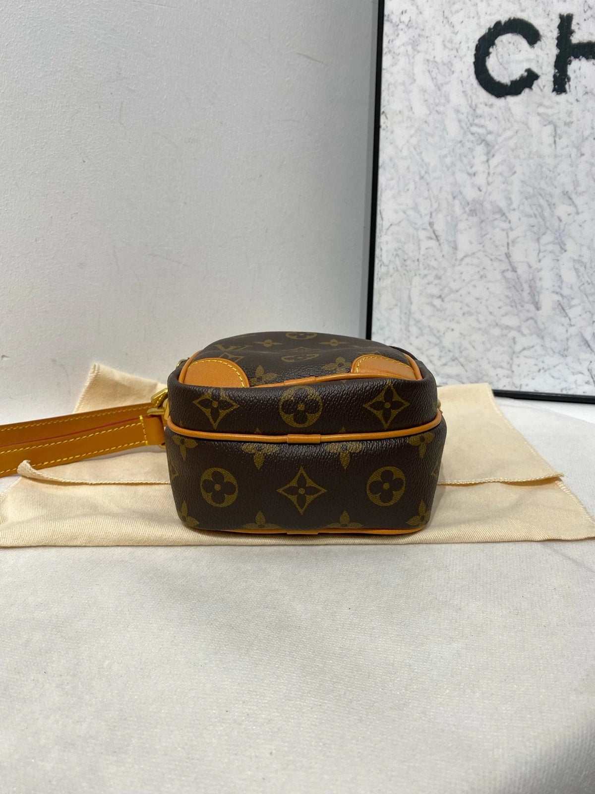 Louis Vuitton Amazone Double Layer Crossbody Camera Bag For Women